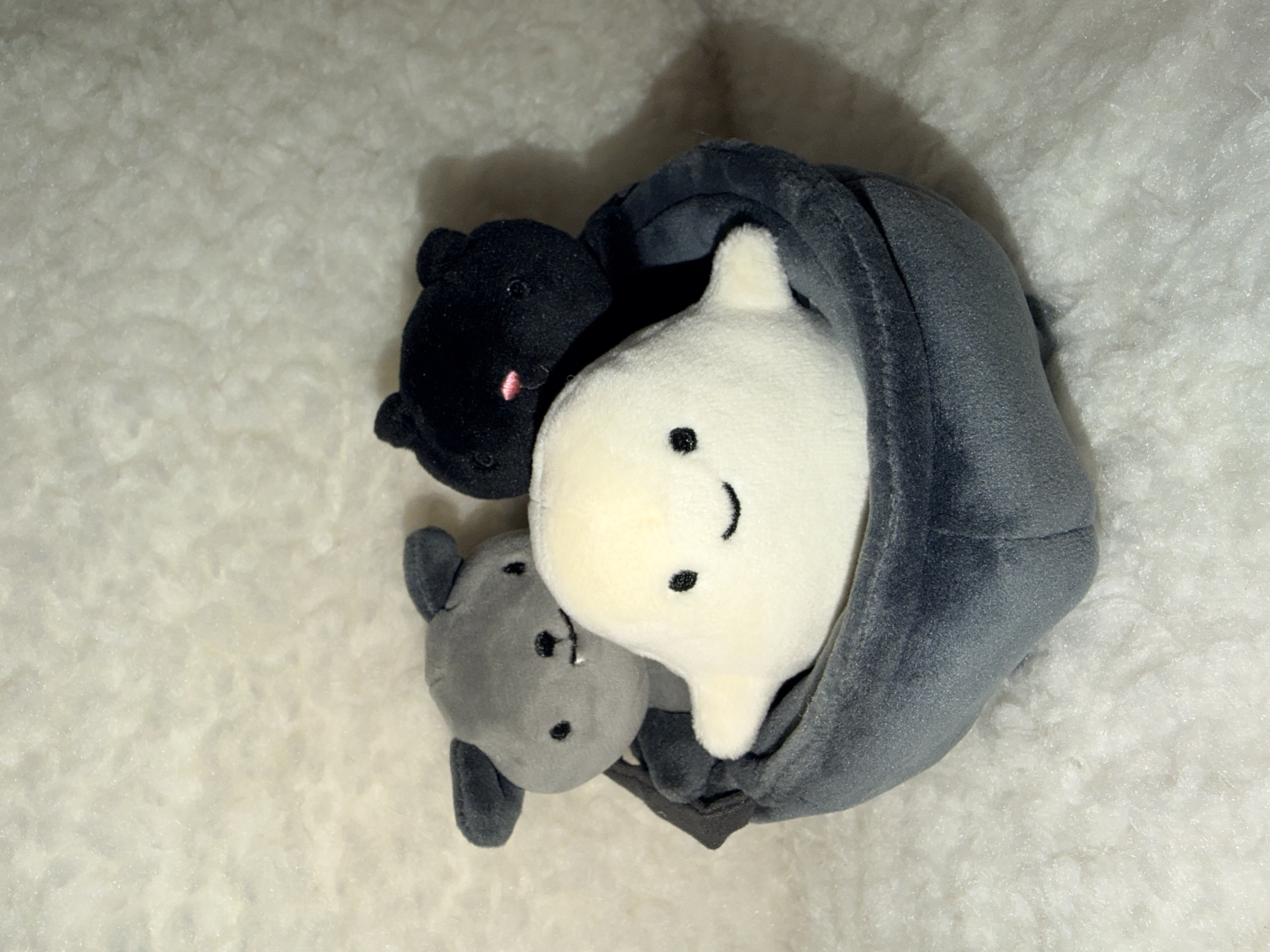 NWOT Cauldron Cuties β photo 1