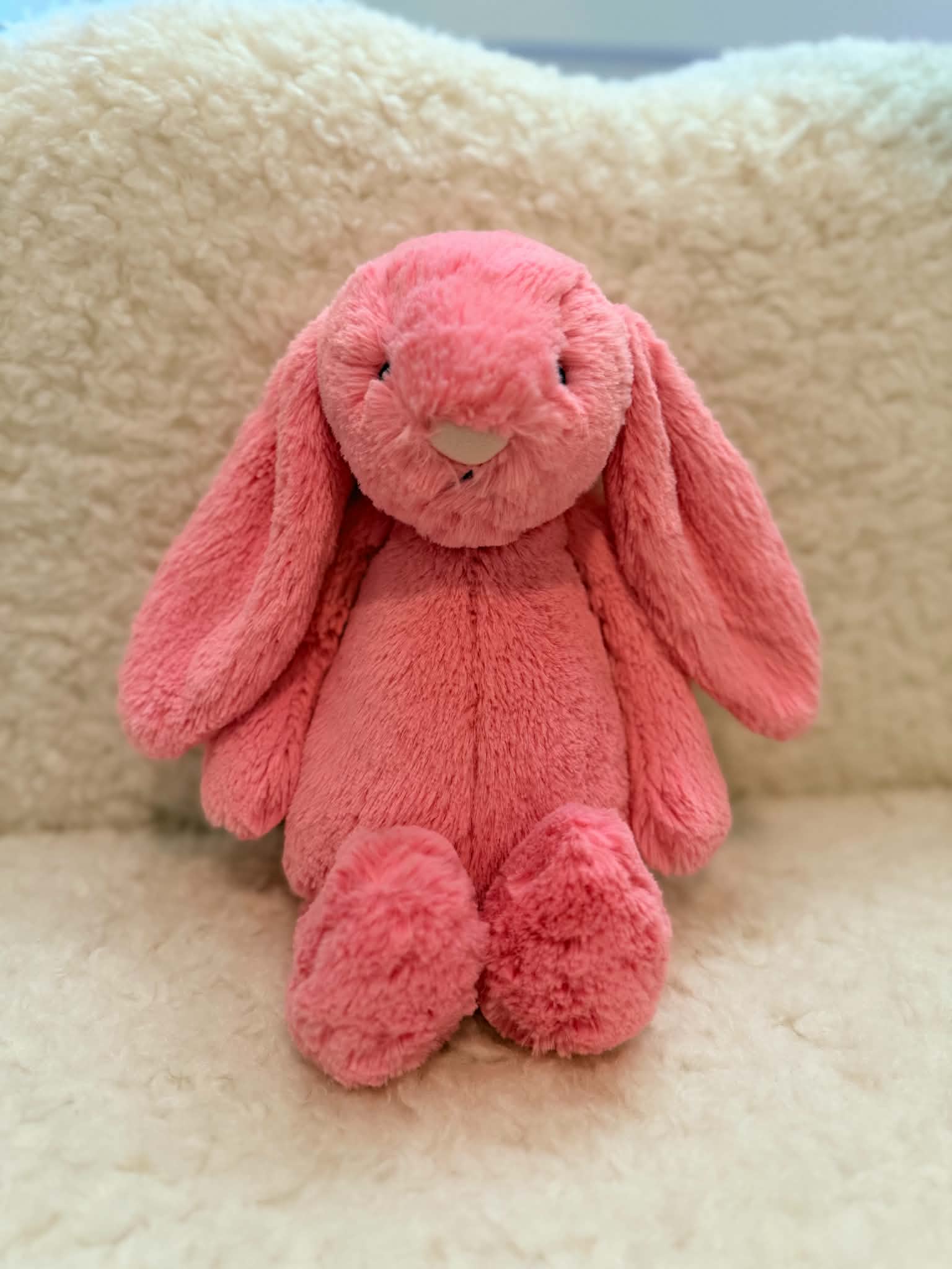 NWOT Medium Bashful Sorbet Bunny β photo 1