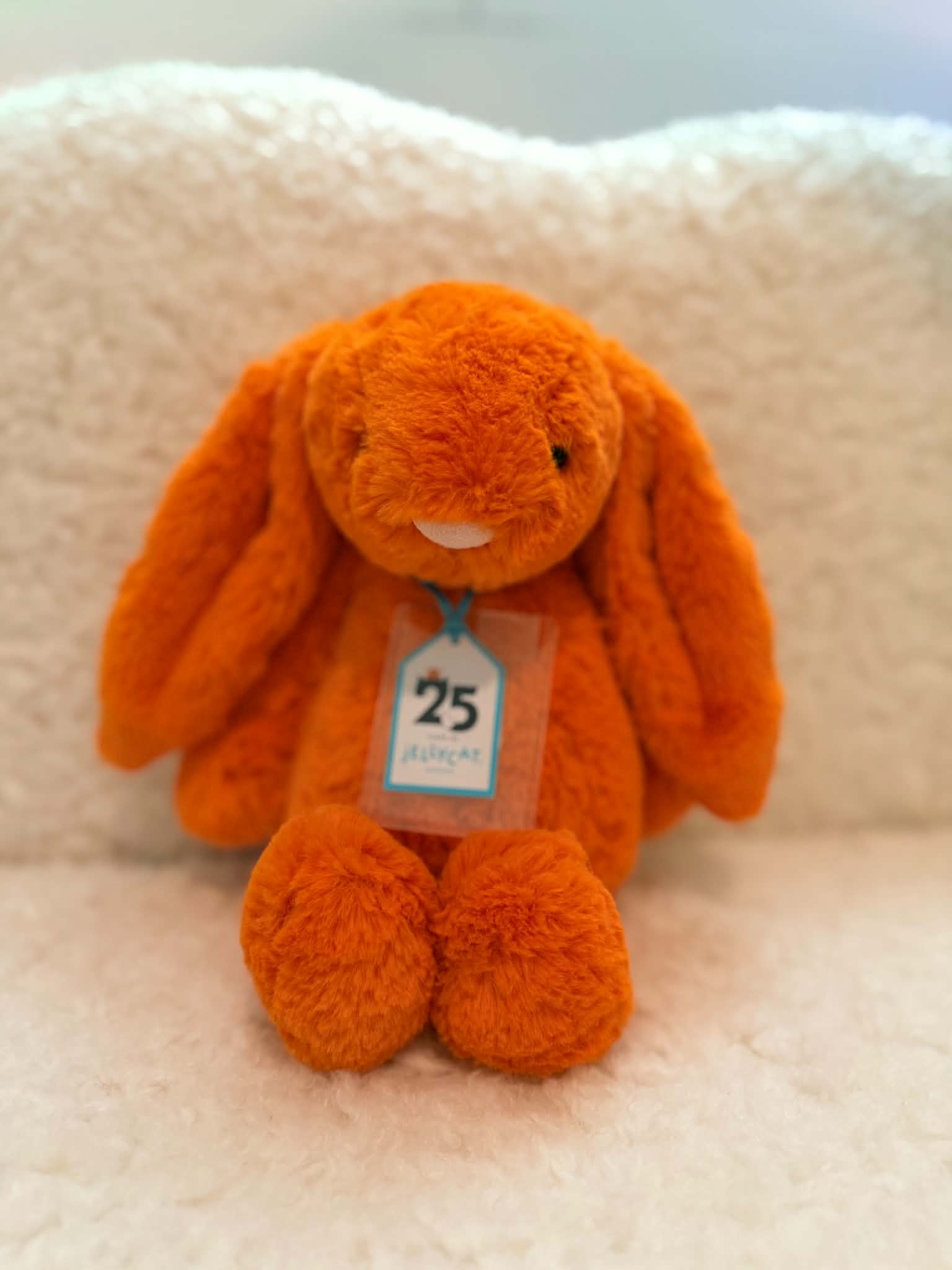 NWT Amberley Luxe Bunny β photo 1