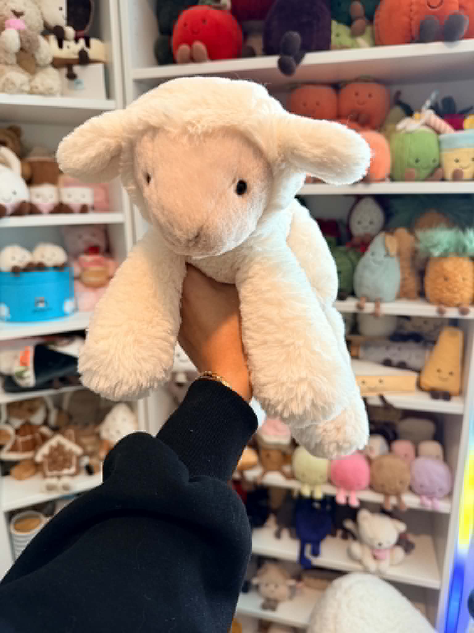 NWT Medium Smudge Lamb β photo 1
