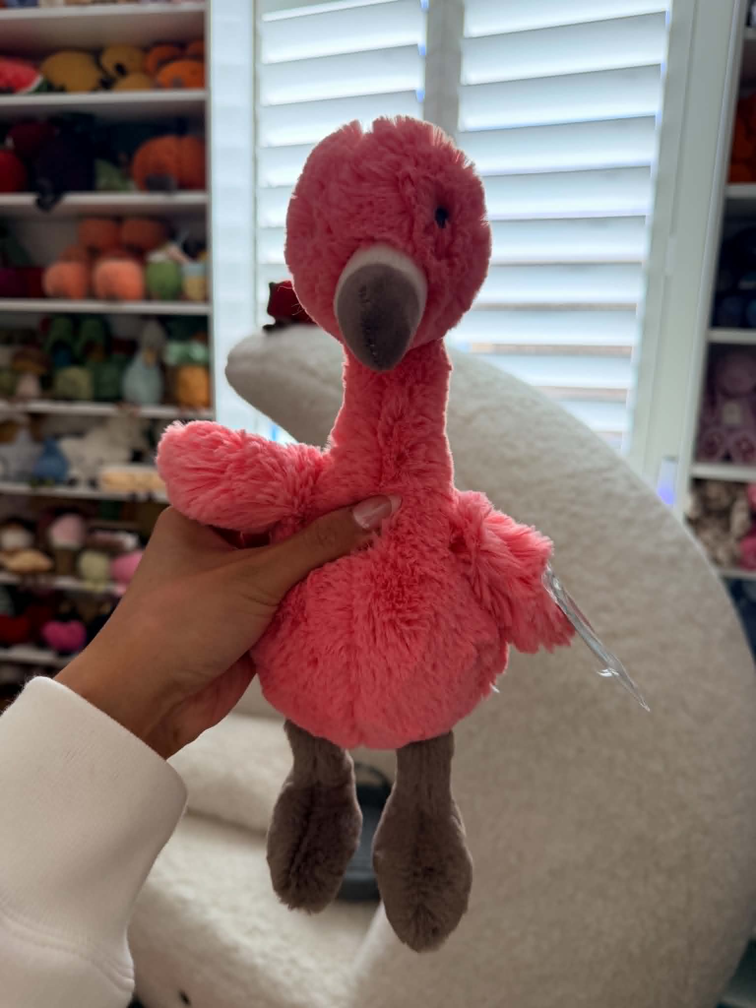 NWT M Bashful Flamingo β photo 1