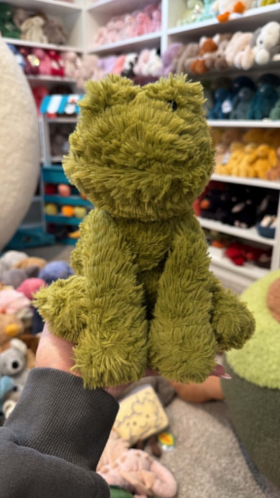 EUC Medium Fuddlewuddle Frog β photo 1