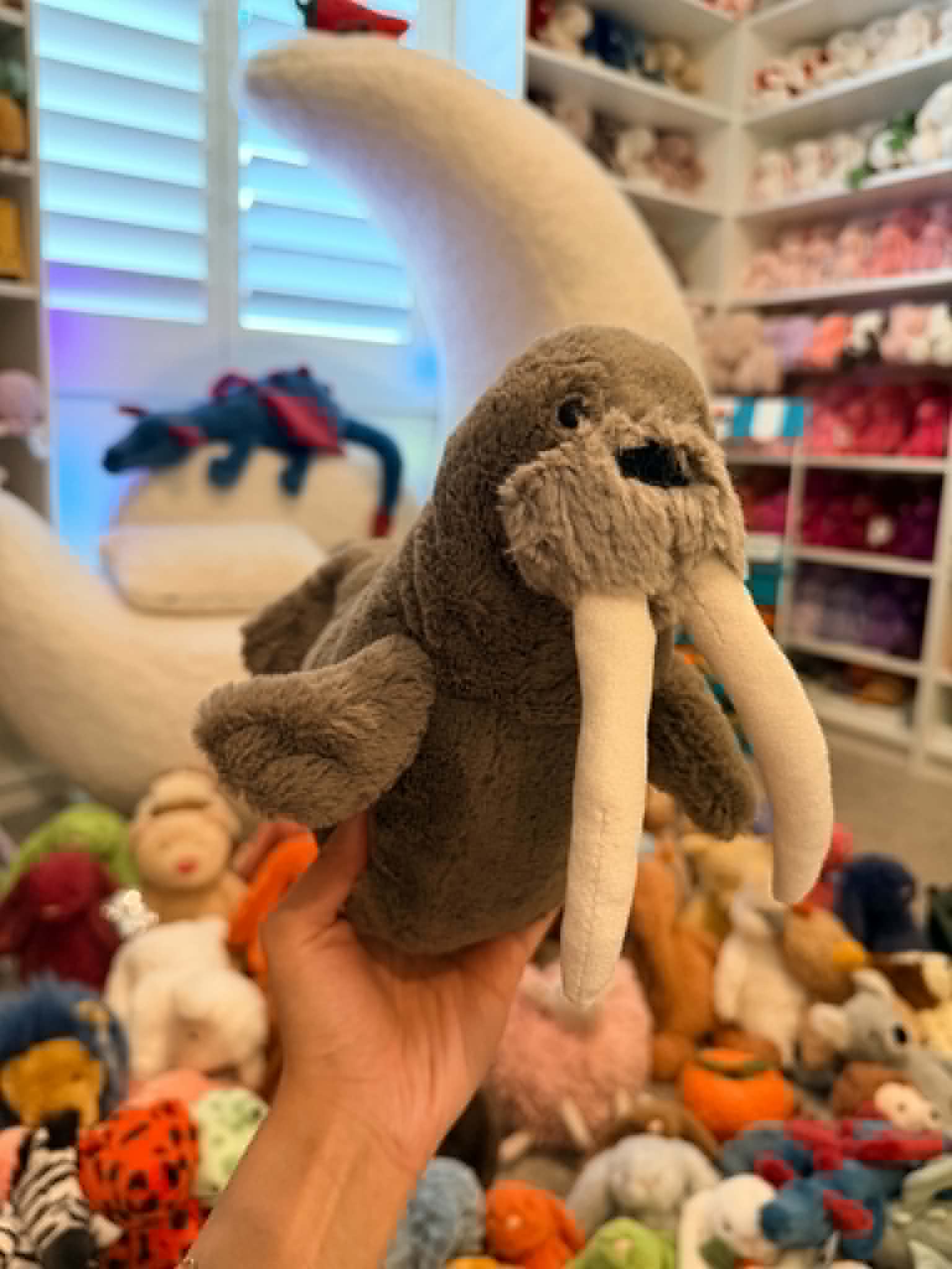 NWOT Willie Walrus β photo 1